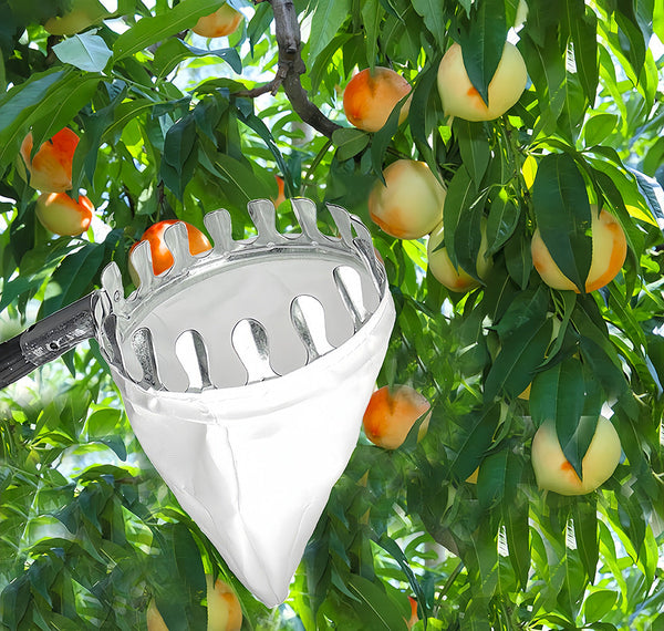 Telescoping Fruit Picker Apple Peach Persimmon Harvesting Tool With Collection Bag High Reach Catcher 2M Other Garden Hand Tools & Equipment