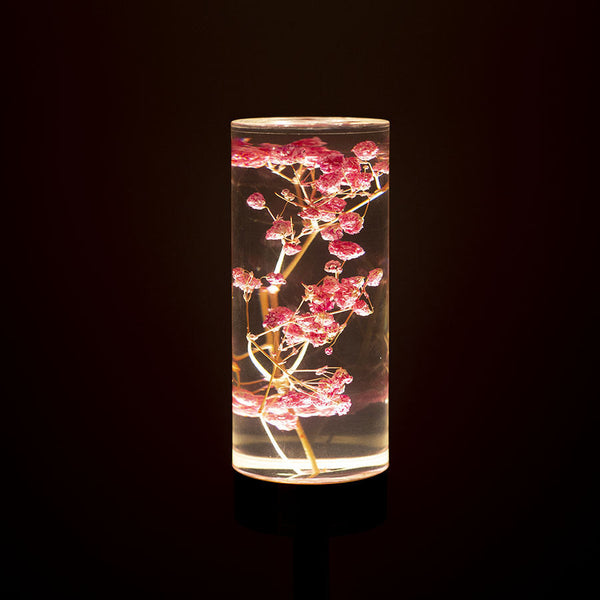 Daisy Eternal Flower Acrylic Table Lamp Color Changing Led Usb Rechargeable Touch Control Lamps