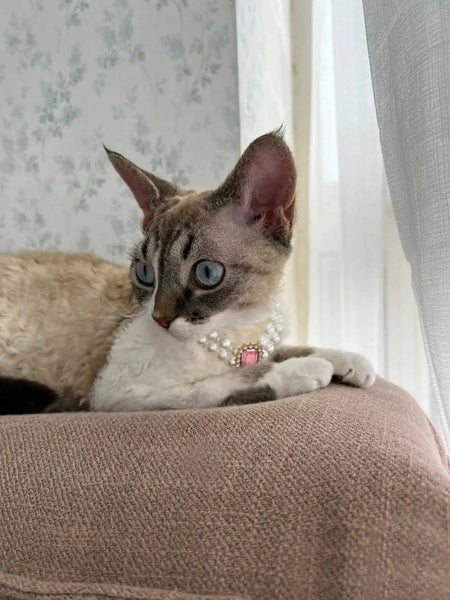 Elosung 3 Pcs Pink Diamond Double Strand Pearl & Rhinestone Pet Necklace Luxury Collar For Cats Dogs Size (20 26Cmcm) Dog Collars