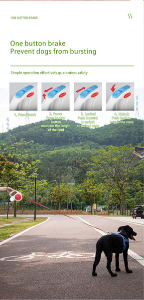 Dark Blue 5M Retractable Dog Leash With Small Box Suitable For And Medium Dogs Leads & Head Collars