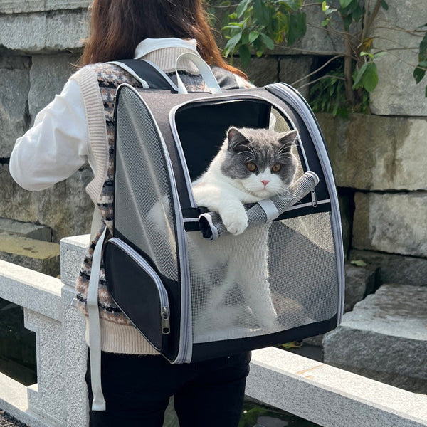 Foldable Black Pet Carrier Backpack Breathable Mesh Travel Bag For Cats Small Dogs Pet Transport