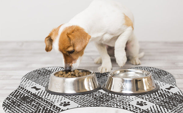Brown And White Pet Feeding Mat 50X70cm Anti Slip Durable Diatom Mud For Dogs Cats Easy To Clean Dog Feeding Mats