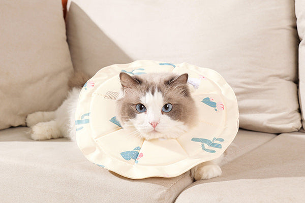 2 Pcs Size Pink Comfortable Pet Recovery Collar | Waterproof Anti Lick For Cats & Dogs Dog Collars