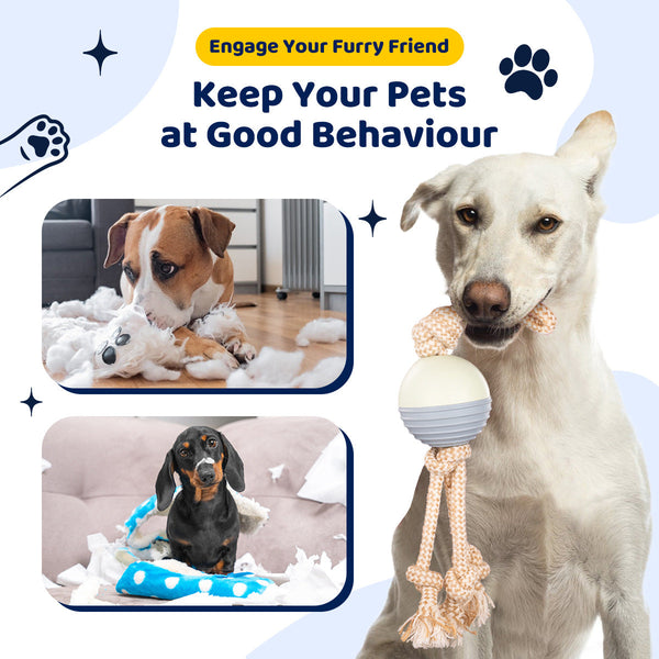 Durable Knot Rope And Ball Dog Toy Interactive Chew Tug Play For Pets Dog Toys