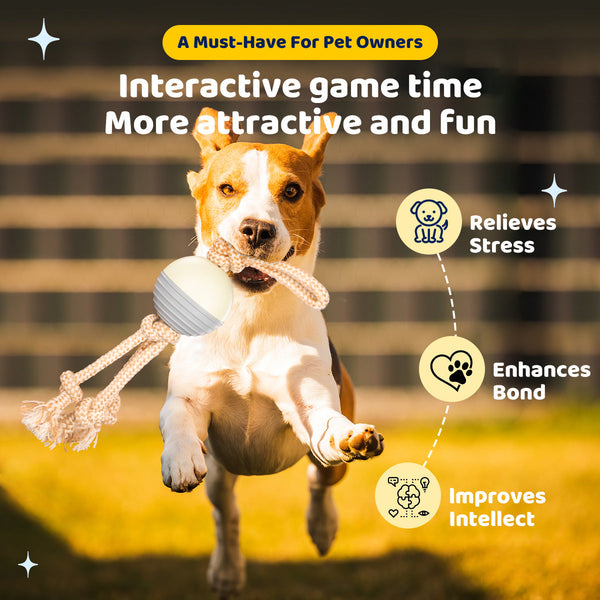 Durable Knot Rope And Ball Dog Toy Interactive Chew Tug Play For Pets Dog Toys