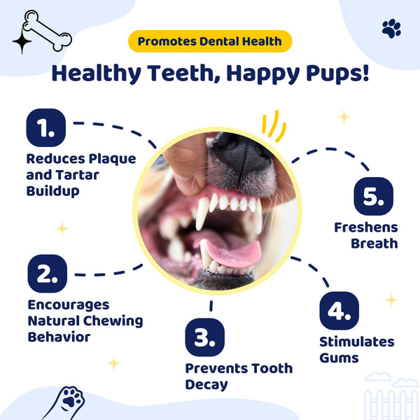 Durable Knot Rope And Ball Dog Toy Interactive Chew Tug Play For Pets Dog Toys