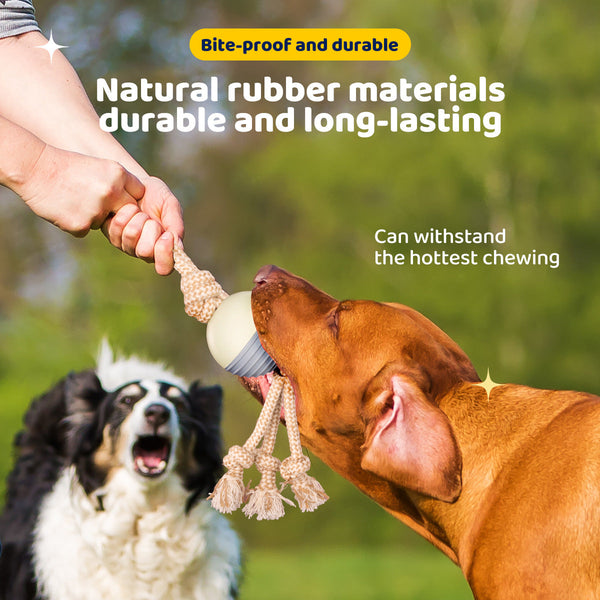 Durable Knot Rope And Ball Dog Toy Interactive Chew Tug Play For Pets Dog Toys