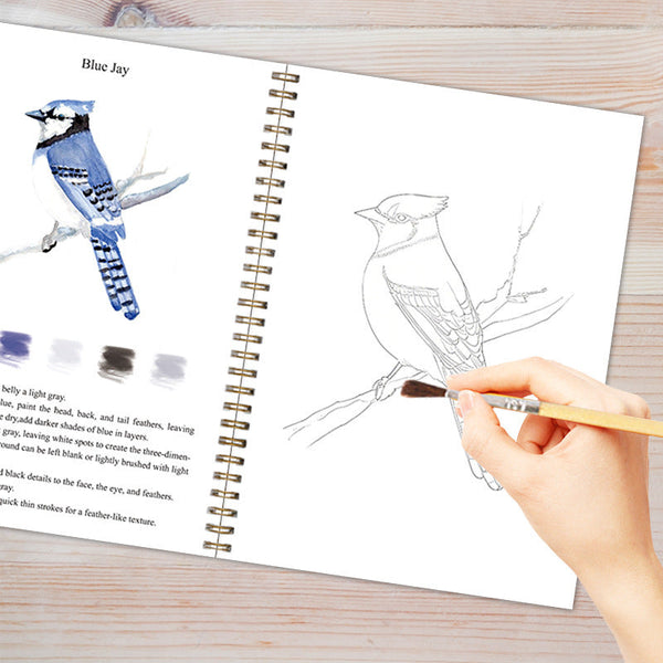 Elosung Winter 2 Pack Watercolor Painting Premium Bird Themed Coloring Books With Paints (22.86X16.51Cm) Artist Grade Workbook Kit Acrylic Paint