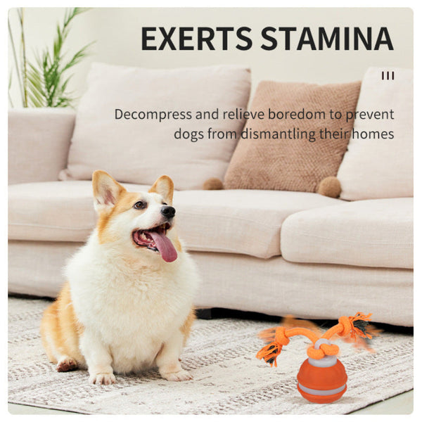 Interactive Dog Chew Toy With Rope Durable Treat Dispensing Ball For Play Dental Health Blue Oral Hygiene