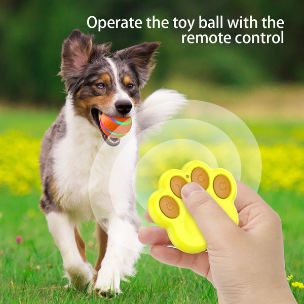 Interactive Auto Pet Toy Ball With Remote Control Usb Rechargeable Led Lights Sturdy Waterproof Yellow Dog Toys
