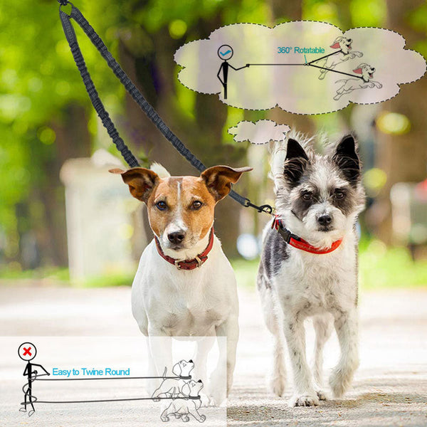 Double Ended Rope + 1.5M Leash Tangle Free Dual Dog Walking Leads & Head Collars