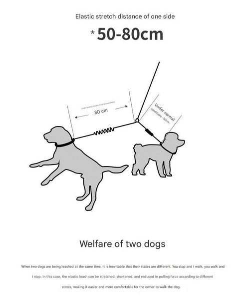 Double Ended Rope + 1.5M Leash Tangle Free Dual Dog Walking Leads & Head Collars