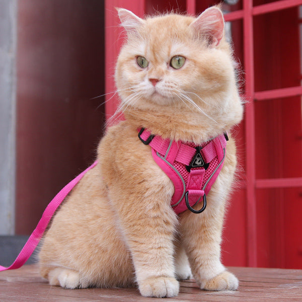 Reflective Mesh Dog Harness And Leash Set Adjustable No Pull Vest Rose Red Small Animal Supplies