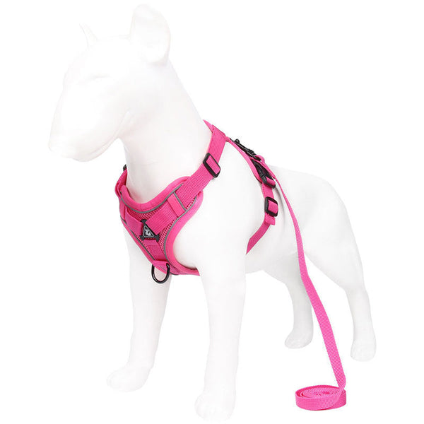Reflective Mesh Dog Harness And Leash Set Adjustable No Pull Vest Rose Red Small Animal Supplies
