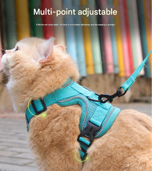 Reflective Mesh Dog Harness And Leash Set Adjustable No Pull Vest Rose Red Small Animal Supplies