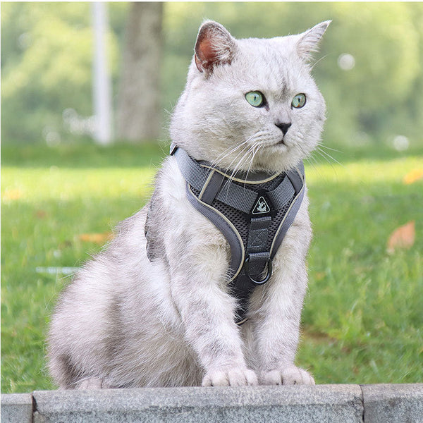 Grey Reflective Mesh Dog Harness And Leash Set Adjustable No Pull Vest Small Animal Supplies
