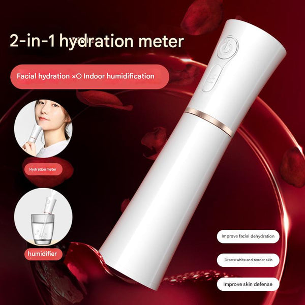 2 In 1 Cool Mist Humidifier And Facial Moisturizer Usb Rechargeable Portable Nano Sprayer Facial Cleansing Devices