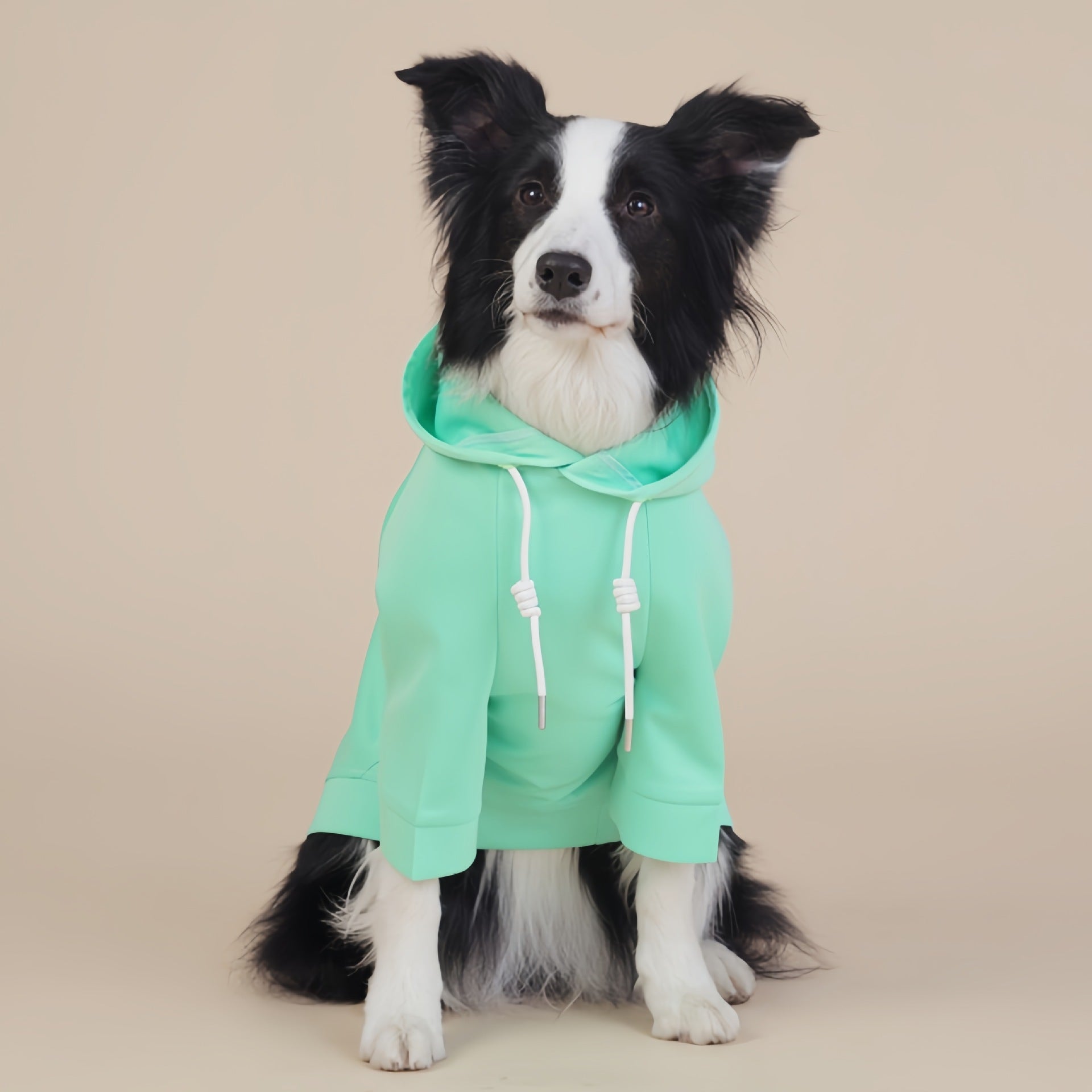 Green Classic Dog Sweatshirt With Hood & Drawstrings For Large Dogs (Size : Xl) Dog Clothing & Shoes