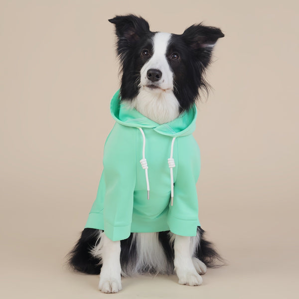 Green Classic Dog Sweatshirt With Hood & Drawstrings For Large Dogs (Size : Xl) Dog Clothing & Shoes