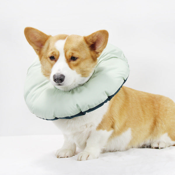 Green Soft Elizabethan Collar For Pets Comfortable Recovery Aid L Dog Collars