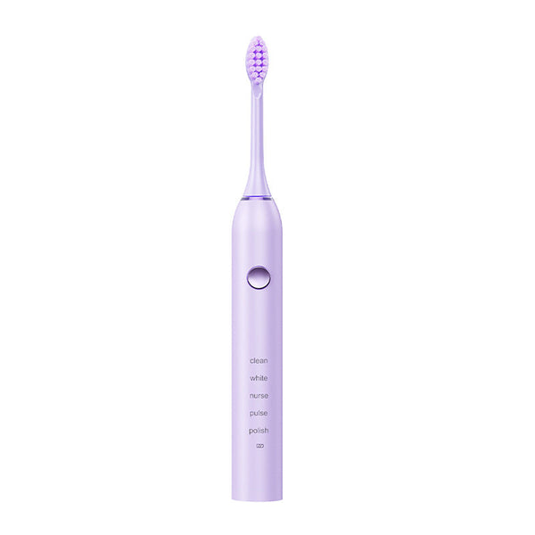 Advanced Sonic Toothbrush: 5 Cleaning Modes 2 Min Timer Usb Fast Charge Purple (4 Brush Heads) Electric Toothbrushes
