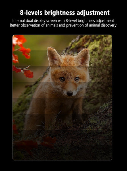 Green Professional Hd Digital Night Vision Binoculars 6X Optical Zoom Ir Illumination Record 2.5K Video & 48Mp Photos Binoculars & Monoculars