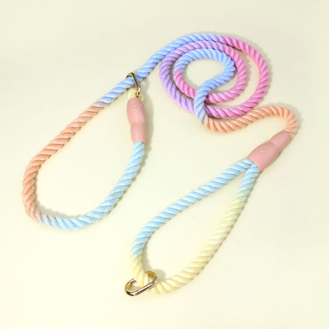 Colorful Vibrant Rainbow Ombre Rope Dog Leash Durable Nylon P Chain Slip Lead For Small & Medium Breeds Small Animal Supplies