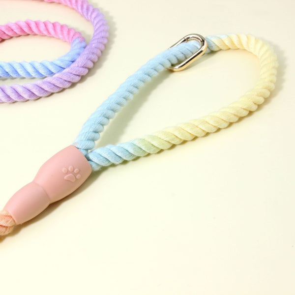 Colorful Vibrant Rainbow Ombre Rope Dog Leash Durable Nylon P Chain Slip Lead For Small & Medium Breeds Small Animal Supplies