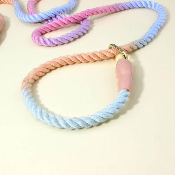 Colorful Vibrant Rainbow Ombre Rope Dog Leash Durable Nylon P Chain Slip Lead For Small & Medium Breeds Small Animal Supplies