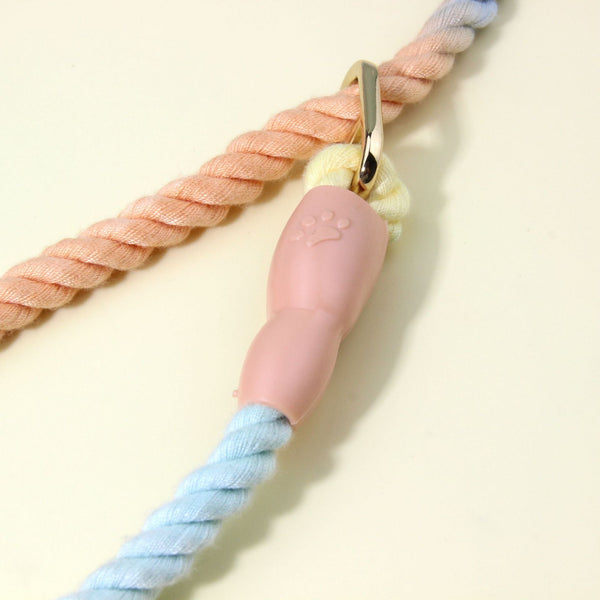 Colorful Vibrant Rainbow Ombre Rope Dog Leash Durable Nylon P Chain Slip Lead For Small & Medium Breeds Small Animal Supplies