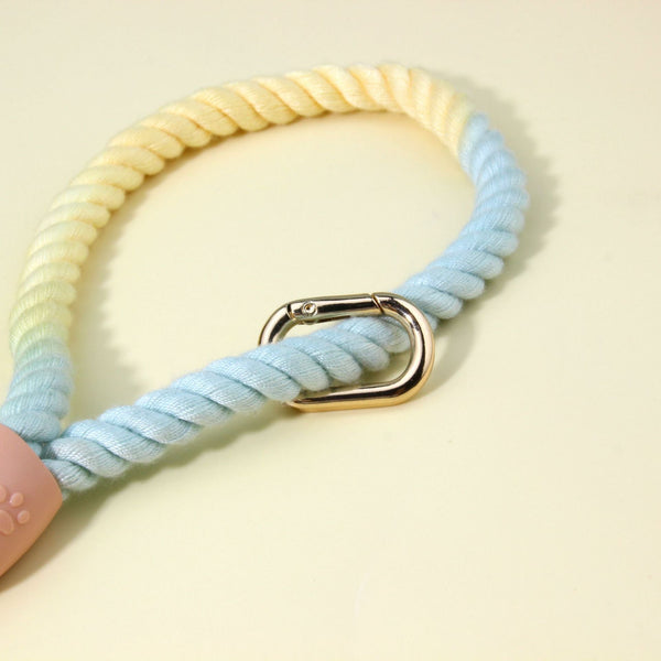 Colorful Vibrant Rainbow Ombre Rope Dog Leash Durable Nylon P Chain Slip Lead For Small & Medium Breeds Small Animal Supplies