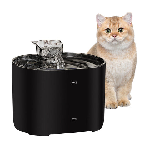 Introductory Version Automatic Pet Drinking Fountain For Cats Dogs Filtered Flowing Water Dog Fountains