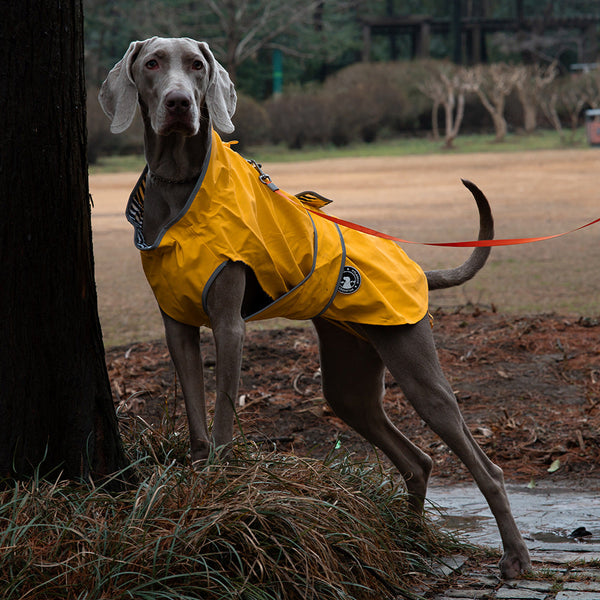 60# Yellow Waterproof Reflective Dog Raincoat For Small To Large Dogs Dog Clothing & Shoes