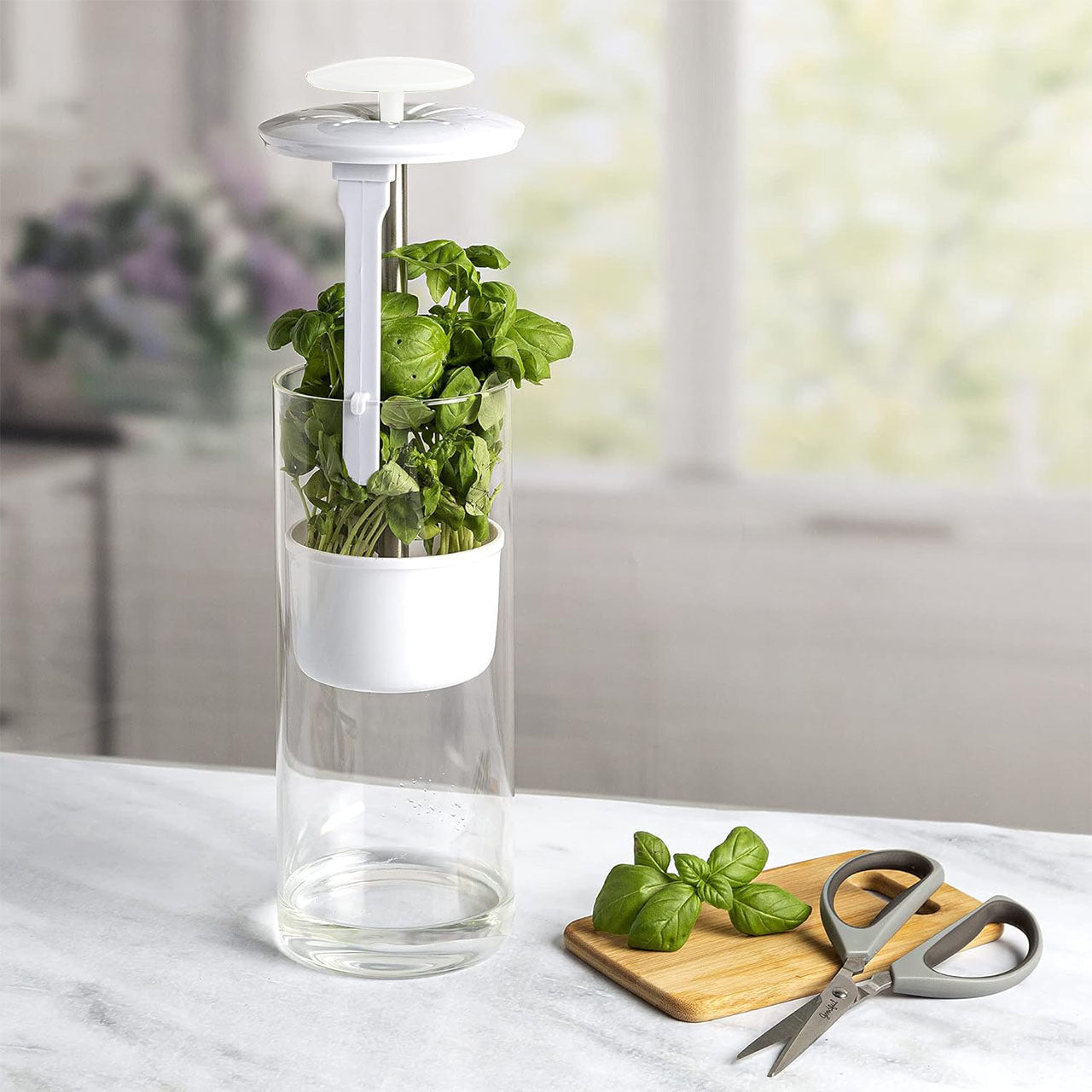 White Premium Herb Savor Freshness Keeper Extends Life Of Herbs Cilantro Parsley Other Kitchen Gadgets