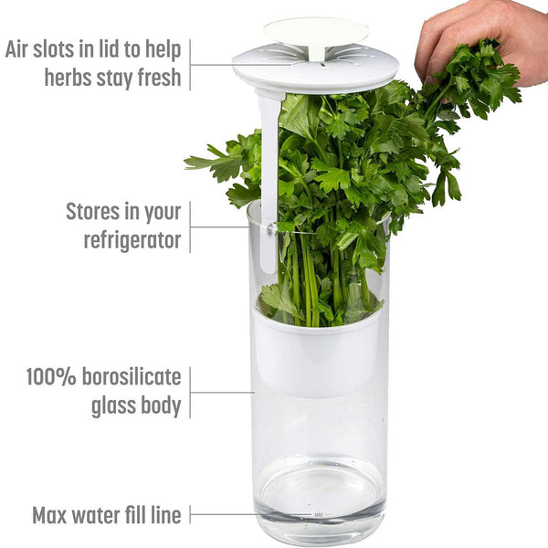 White Premium Herb Savor Freshness Keeper Extends Life Of Herbs Cilantro Parsley Other Kitchen Gadgets