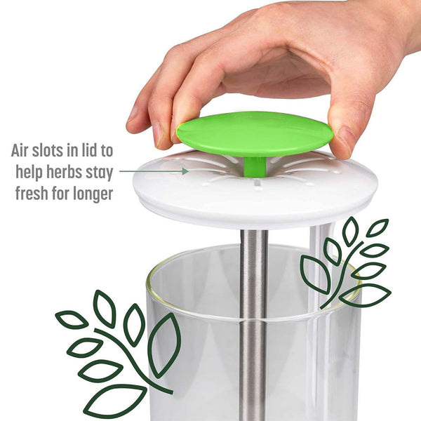 White Premium Herb Savor Freshness Keeper Extends Life Of Herbs Cilantro Parsley Other Kitchen Gadgets