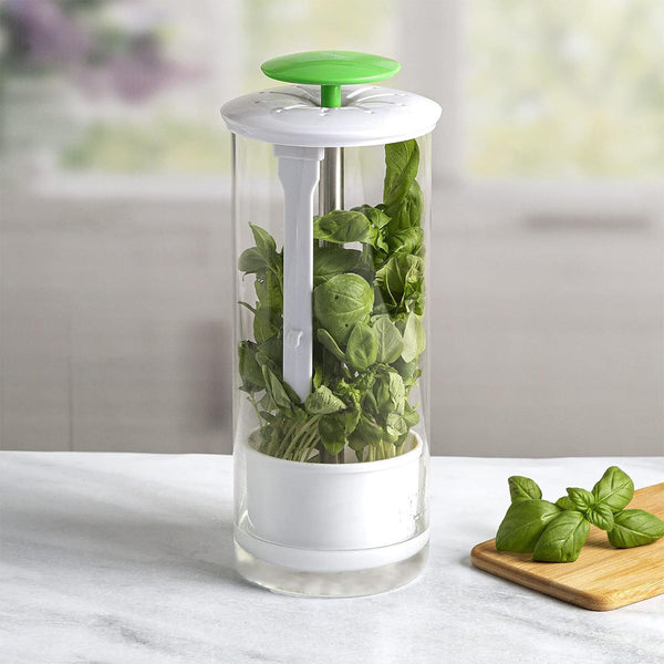 Green Premium Herb Savor & Freshness Keeper Extends Life Of Herbs Cilantro Parsley More Other Kitchen Gadgets