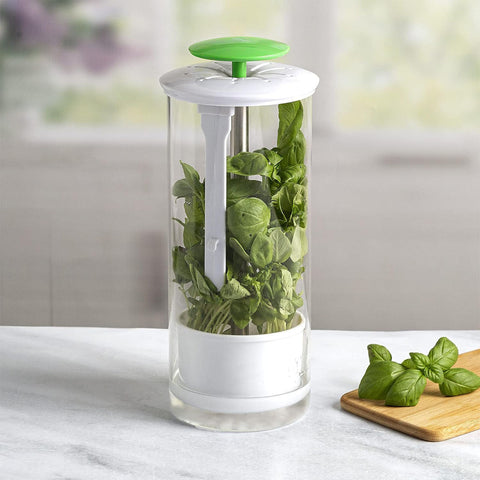 Green Premium Herb Savor & Freshness Keeper Extends Life Of Herbs Cilantro Parsley More Other Kitchen Gadgets