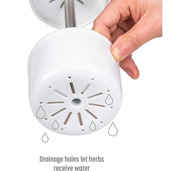 Green Premium Herb Savor & Freshness Keeper Extends Life Of Herbs Cilantro Parsley More Other Kitchen Gadgets