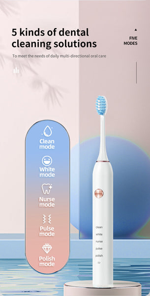 Professional Sonic Electric Toothbrush 5 Modes, 40000 Vpm, 180 Day Battery, Ipx7 Waterproof With 4 Brush Heads(Black) Electric Toothbrushes