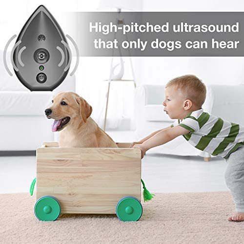 Automatic Ultrasonic Dog Bark Deterrent Up To 50Ft Range Safe Frequency Conversion Indoor Use(Gold) Bark Control