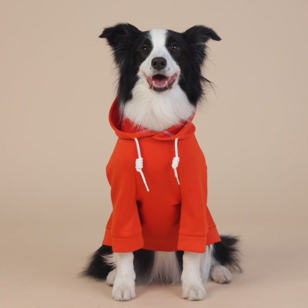 Orange Classic Dog Sweatshirt With Hood Drawstrings For Large Dogs Size 6Xl Dog Clothing & Shoes