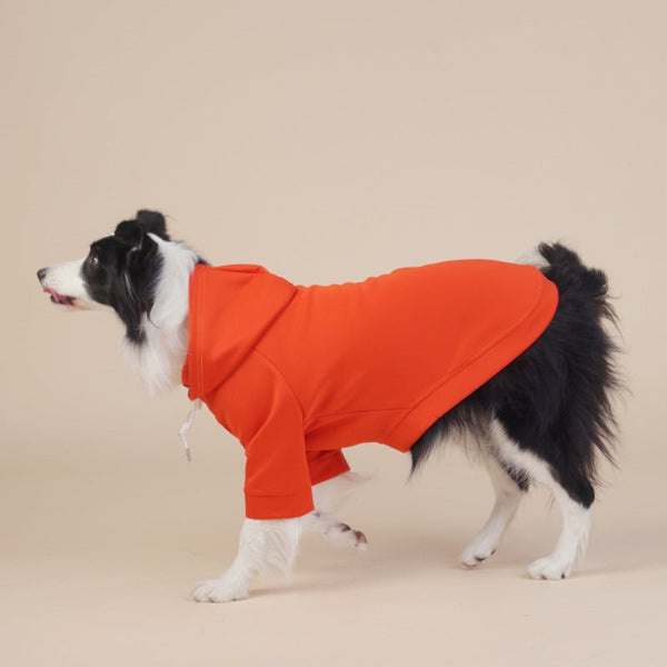 Orange Classic Dog Sweatshirt With Hood Drawstrings For Large Dogs Size 7Xl Dog Clothing & Shoes