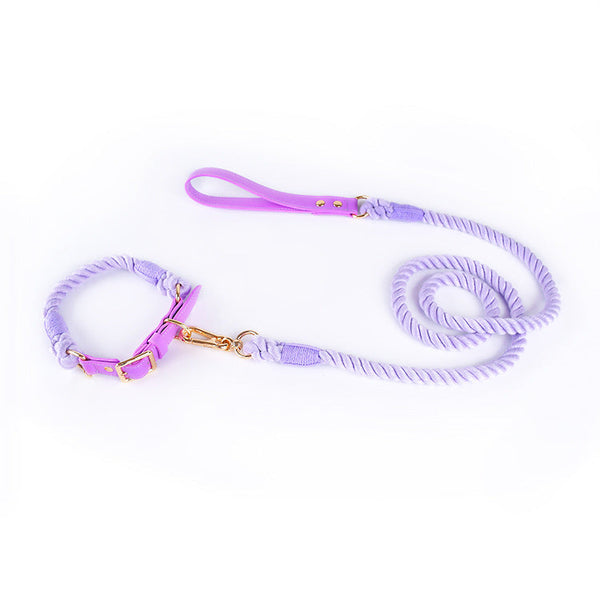 Premium Leather Pet Collar And Leash Soft Strong Braided Rope (Purple Size M) Dog Collars