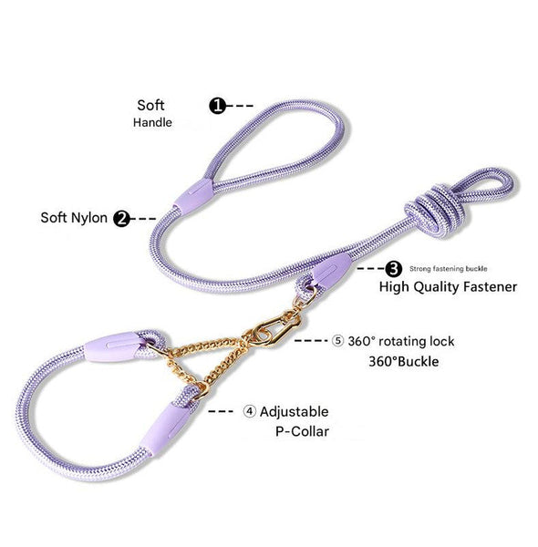 Blue Durable Nylon P Collar Dog Training Set Heavy Duty Leash & Martingale Size Dog Collars