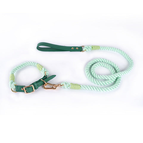 Premium Leather Pet Collar And Leash Soft Strong Braided Rope Green Size Dog Collars
