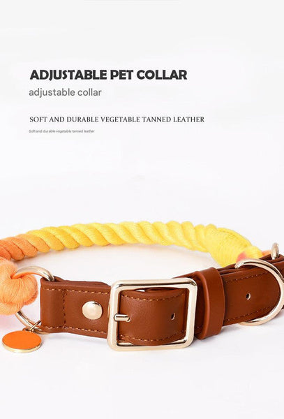 Premium Leather Pet Collar And Leash Soft Strong Braided Rope Honey Orange Size M Dog Collars