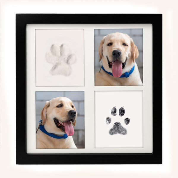 Black And White Pet Paw Print Keepsake Photo Frame Kit Mess Free Ink Pad For Dogs & Cats Dual Display Photo Frames