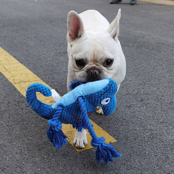 2 Pcs Blue Interactive Plush Chameleon Dog Toy With Squeaker & Rope Legs Durable Chew For Medium/Large Dogs Teeth Cleaning Texture Machine Washable (1