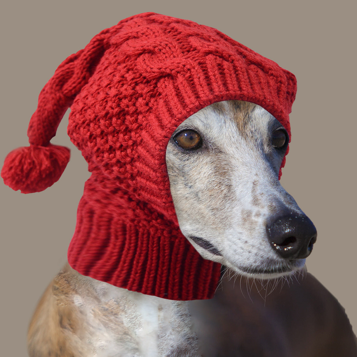 Size L Red Whimsical Knit Dog Hat With Pom Cozy Winter Pet Beanie & Snood Dog Clothing & Shoes